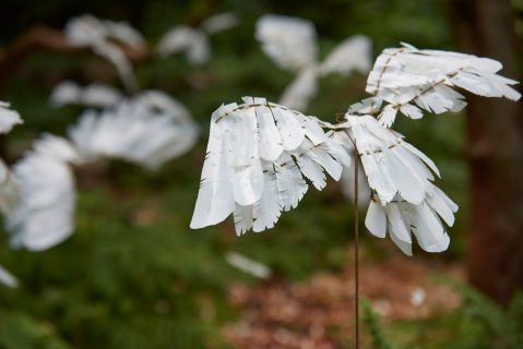Be part of the 1000 Feathers for Stourhead Project